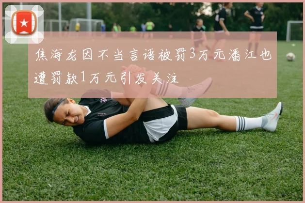 焦海龙因不当言语被罚3万元潘江也遭罚款1万元引发关注