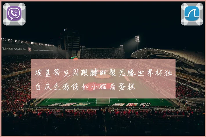 埃基蒂克因跟腱断裂无缘世界杯独自庆生感伤如小猫看蛋糕